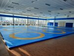 FitnessTime (gorodskoy okrug Novosibirsk, Severny proyezd, 33), sports equipment