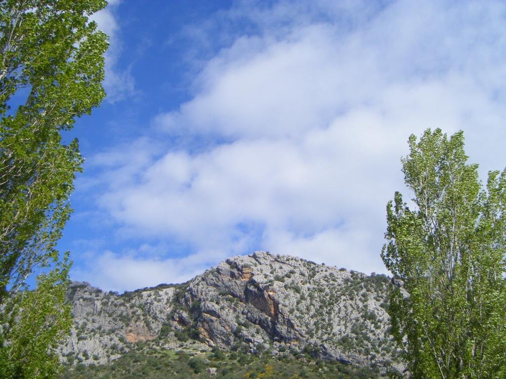 Фото Hotel Dehesilla