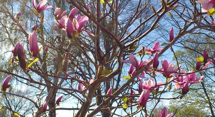 Фото Hotel Strandgärdet