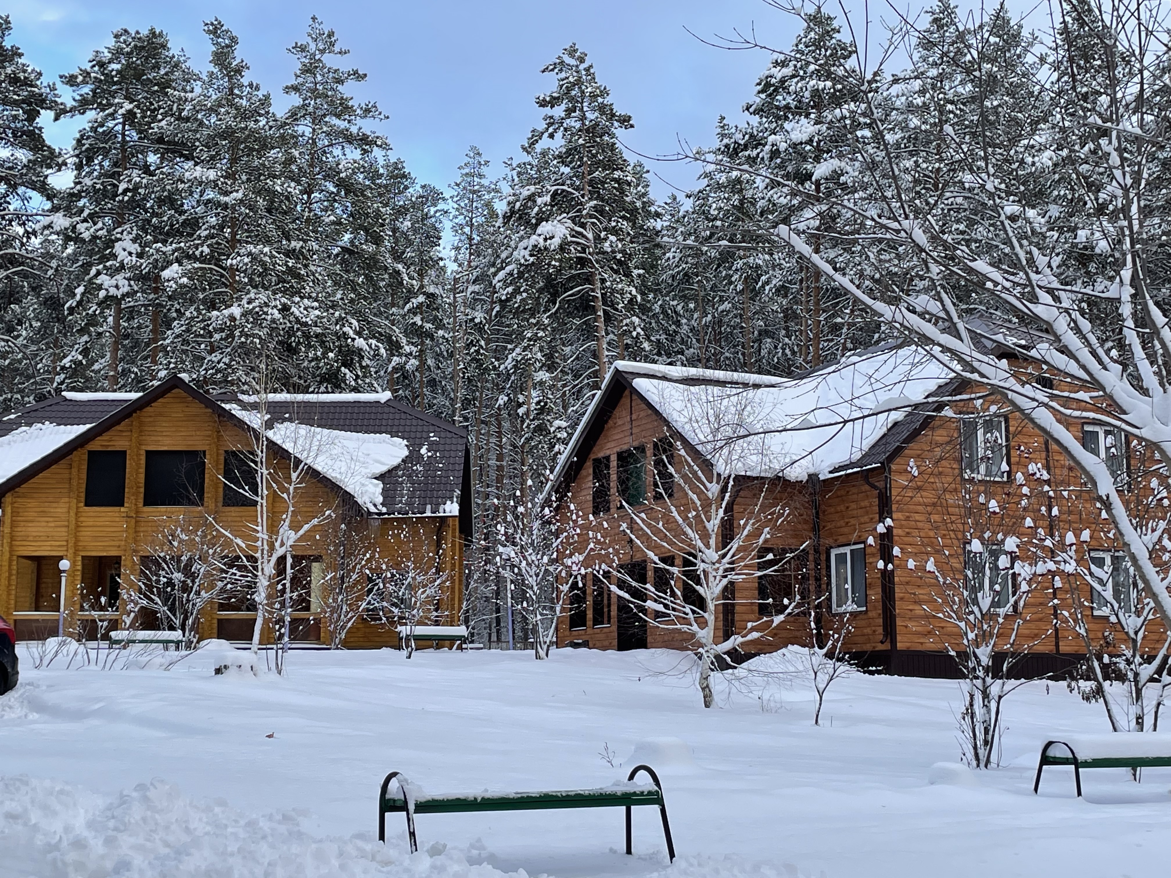 Фото Сосновый бор