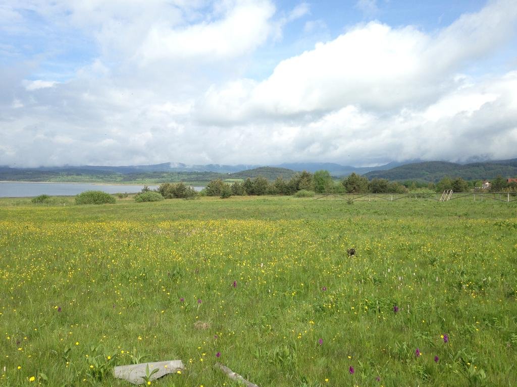 Фото Guest House Slunchev Cviat