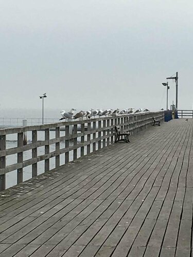 Гостиница Przystań Mechelinki- Marina Del Mar