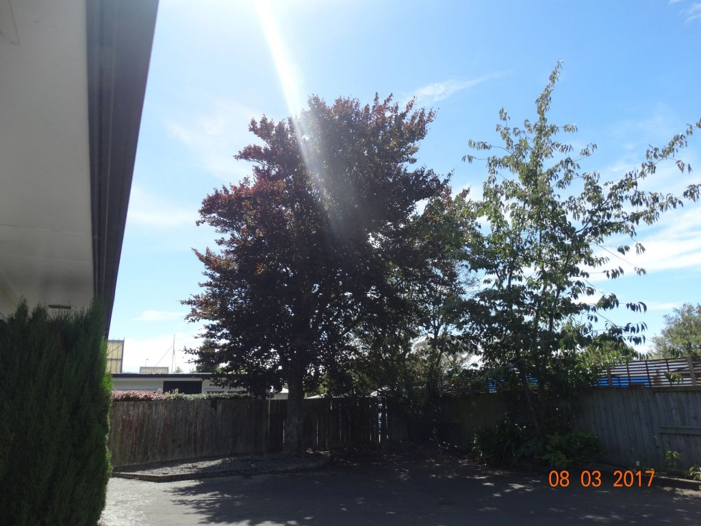 Фото Ambassador Motel - Palmerston North