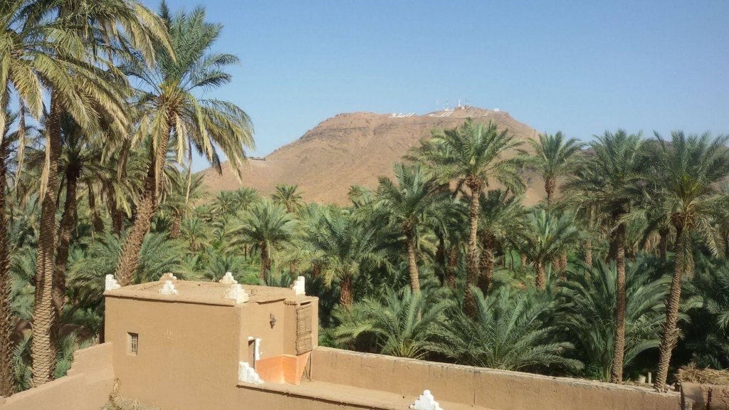 Фото Riad Dar Zaouia