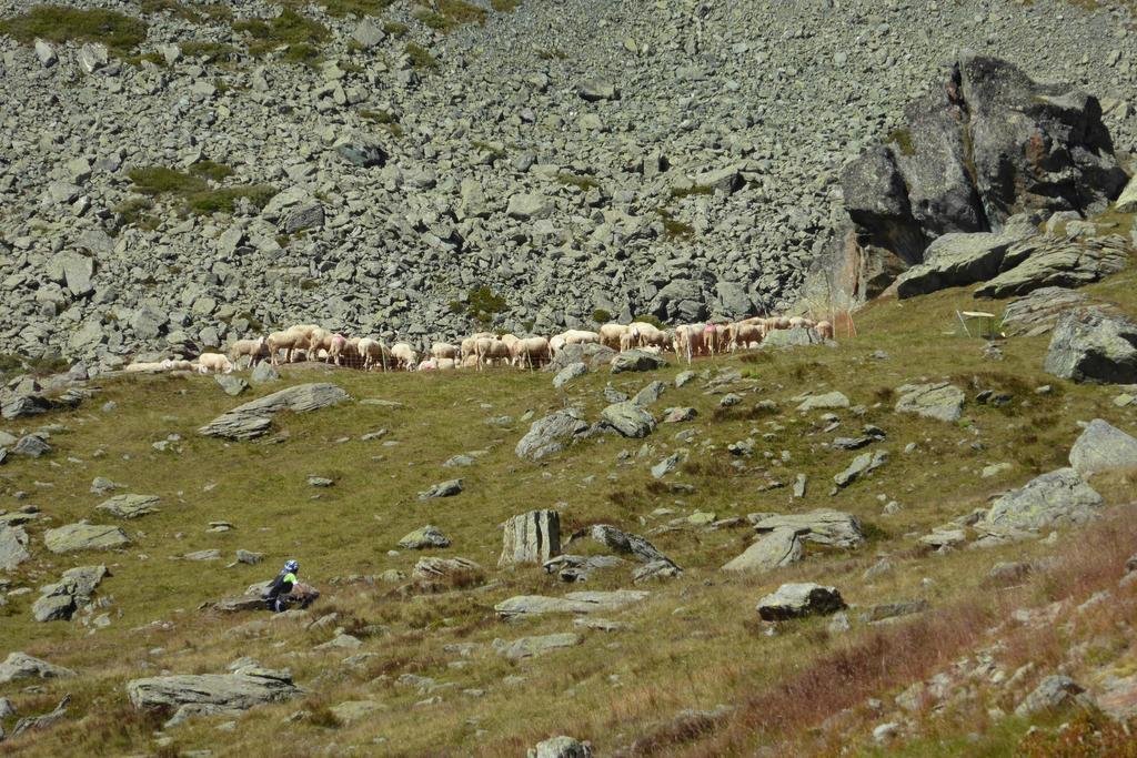 Фото Rifugio Grand Tournalin
