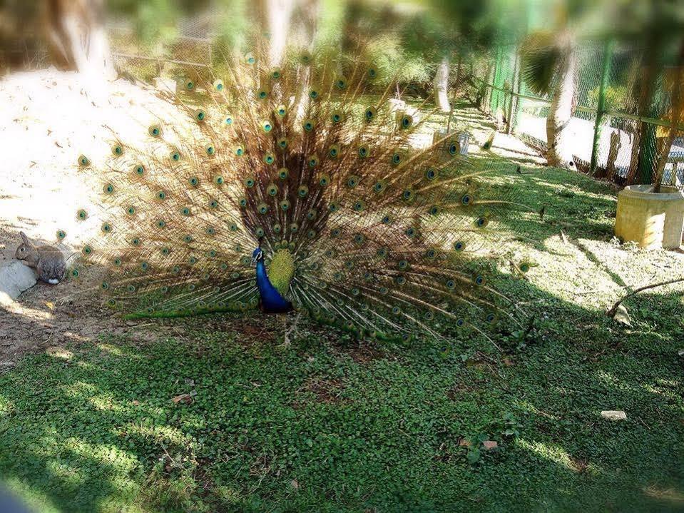 Фото Bella Forest Homestay