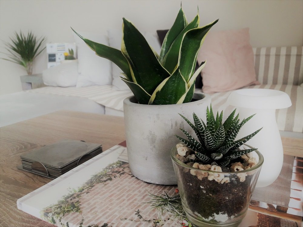 Фото Sea La Vie Maisonette