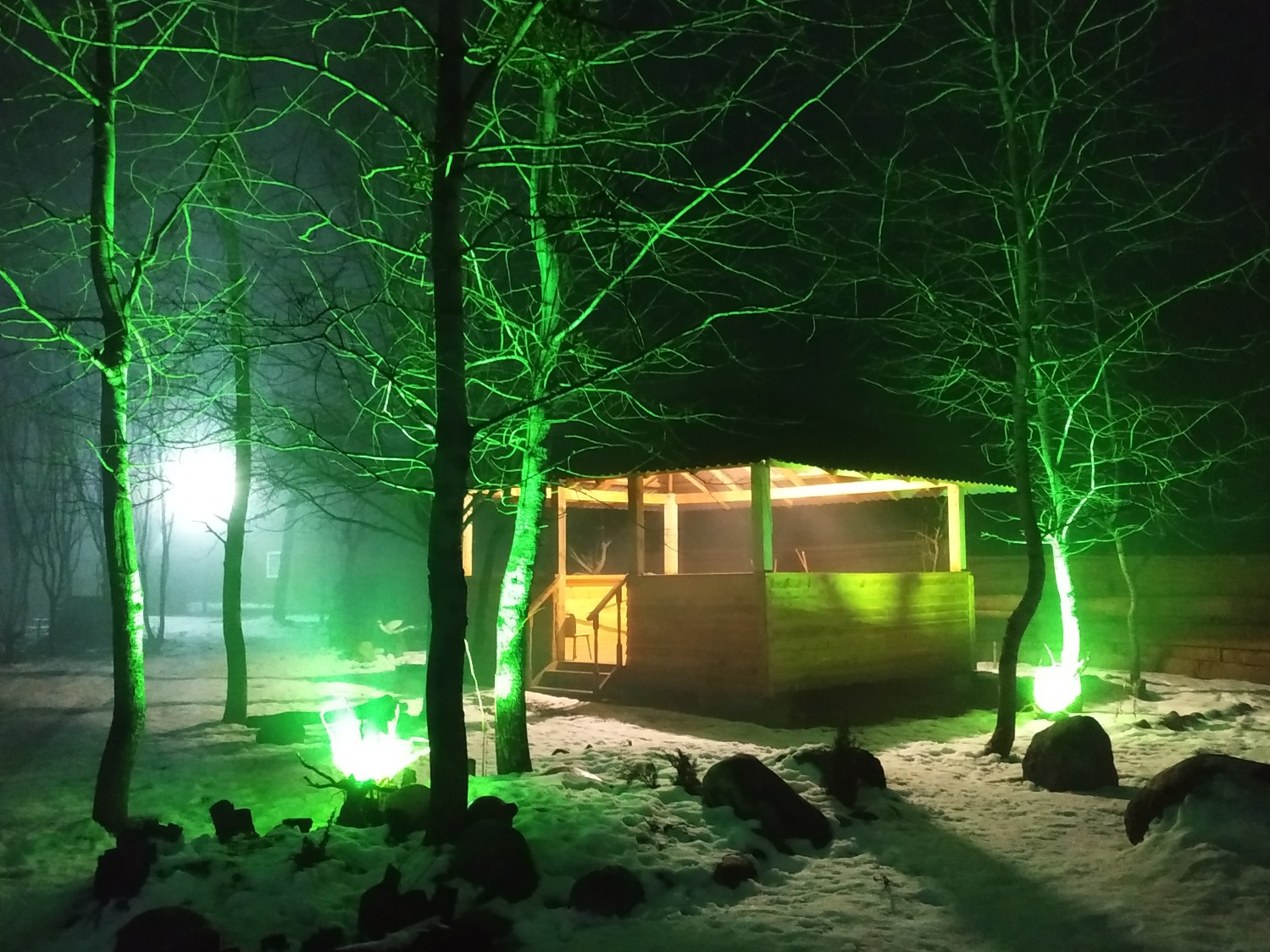 Фото Медвежий угол