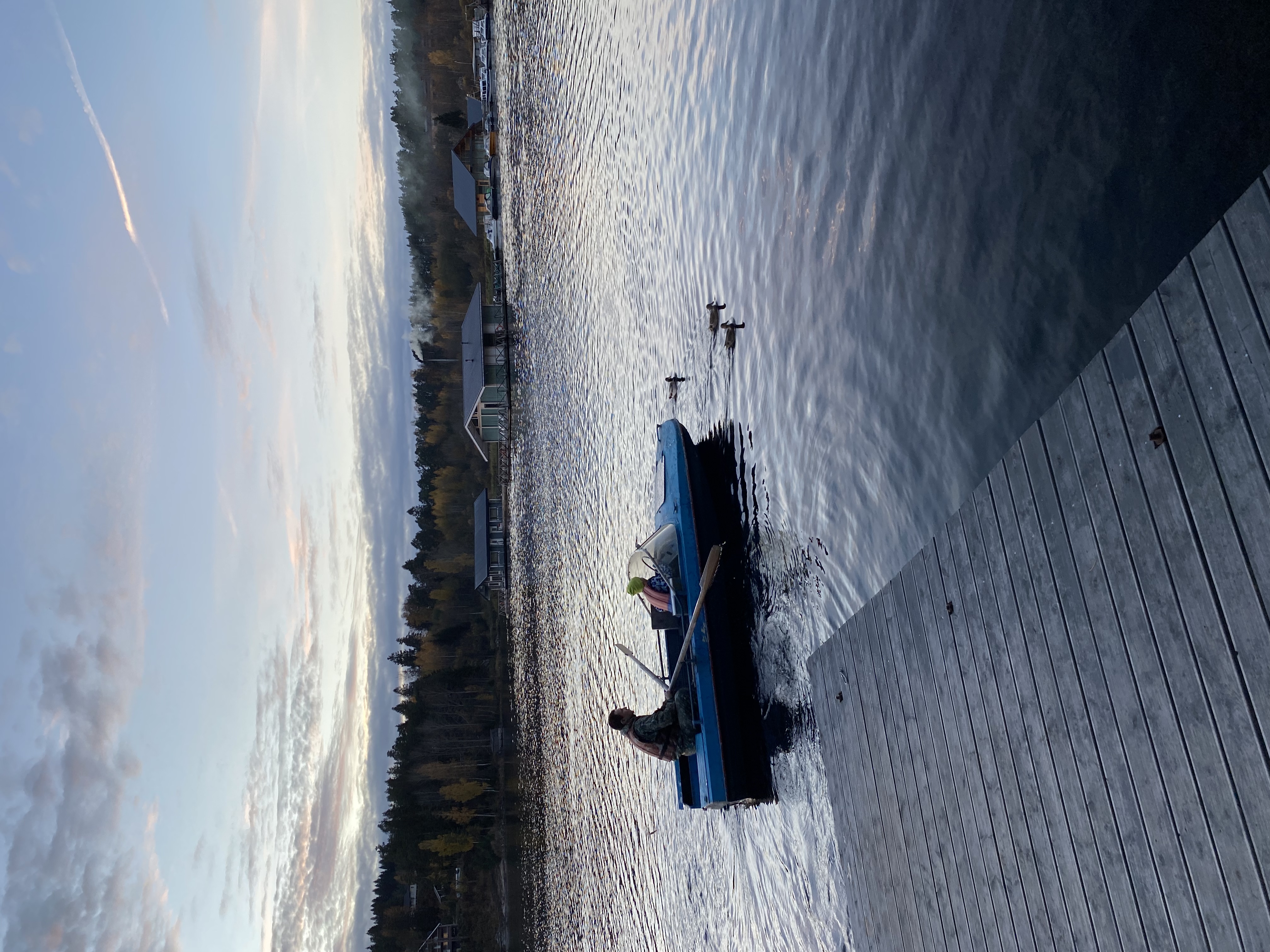 Фото Forest Park