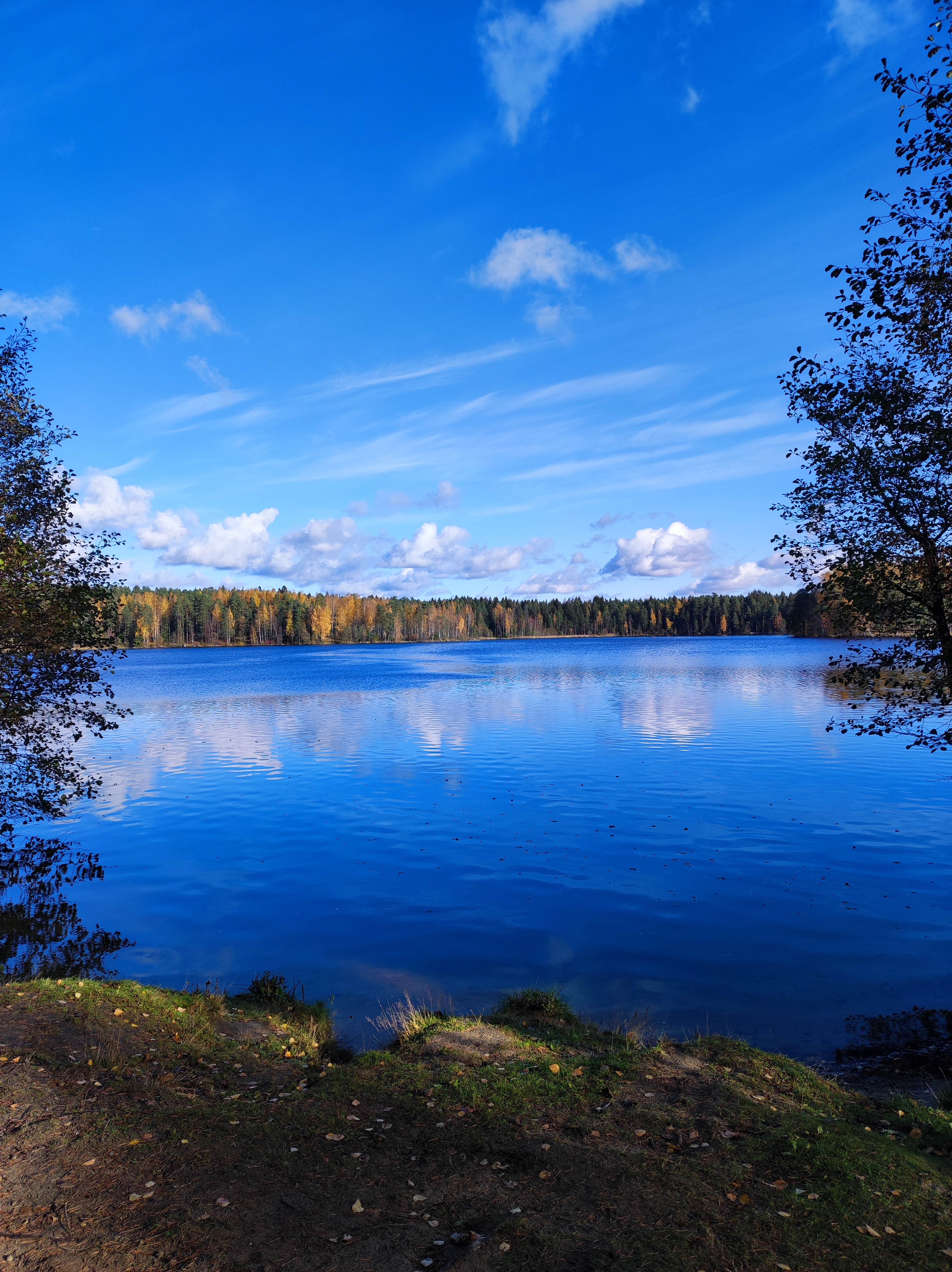 Фото Архитектура здоровья