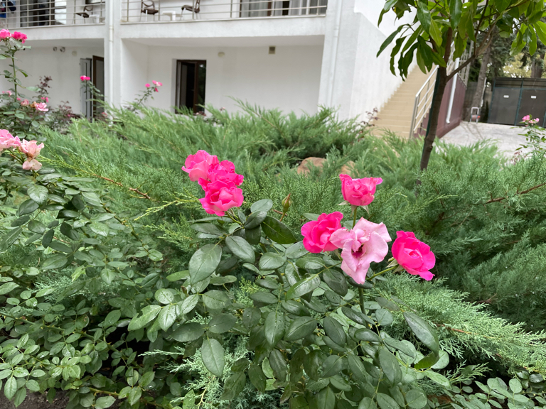 Фото Красная Талка 2