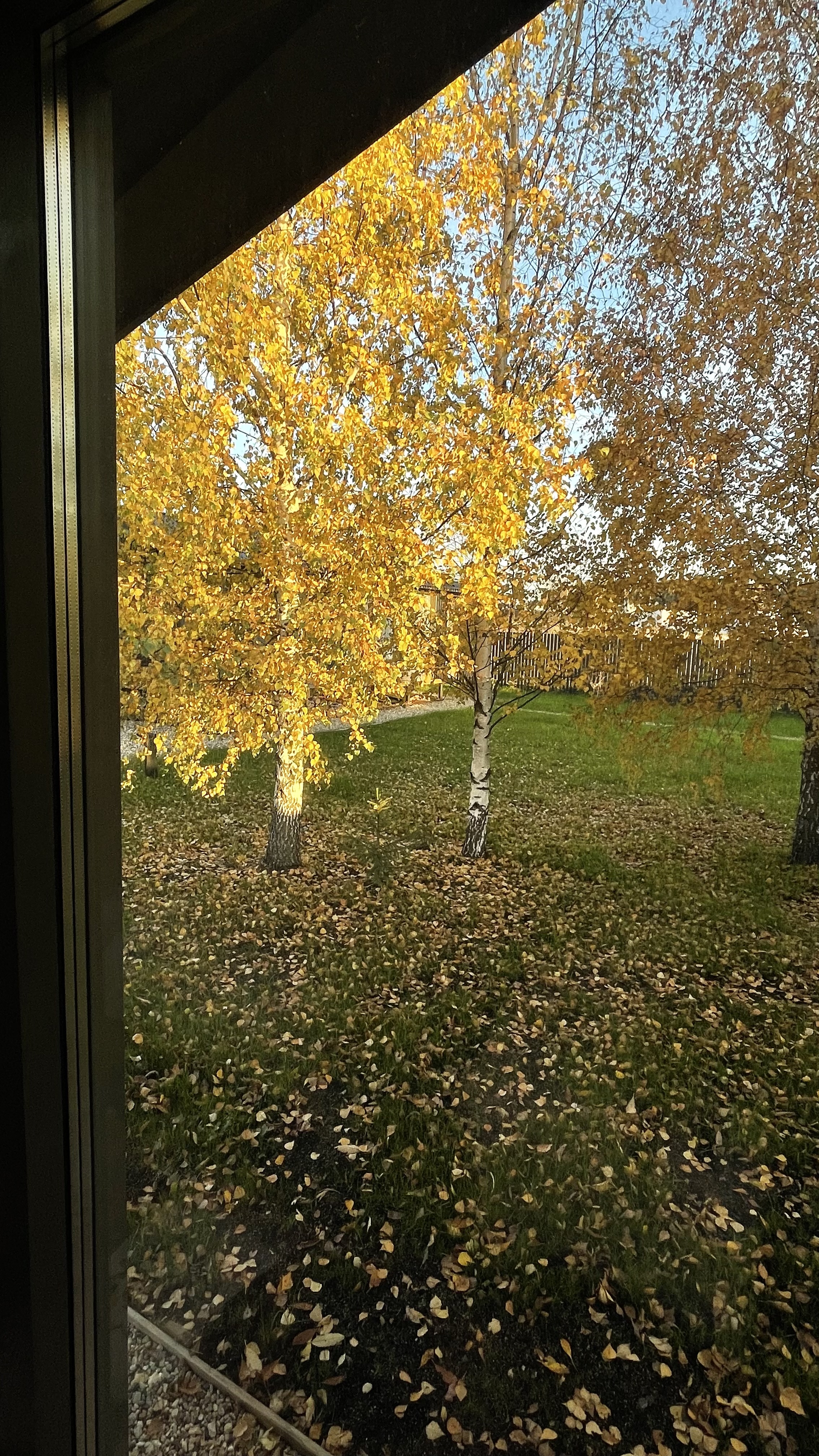 Фото Two House River