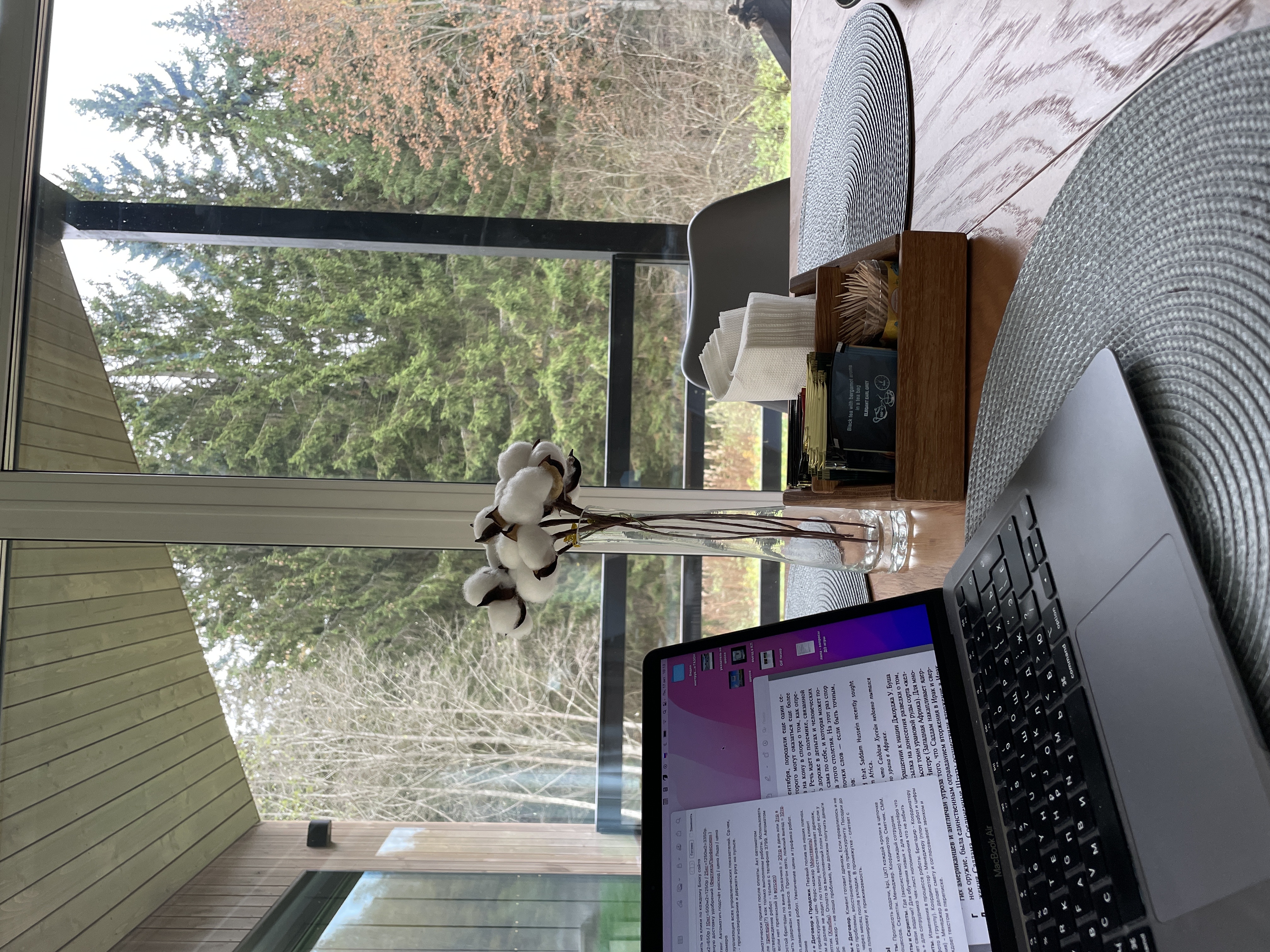 Фото Pine Forest