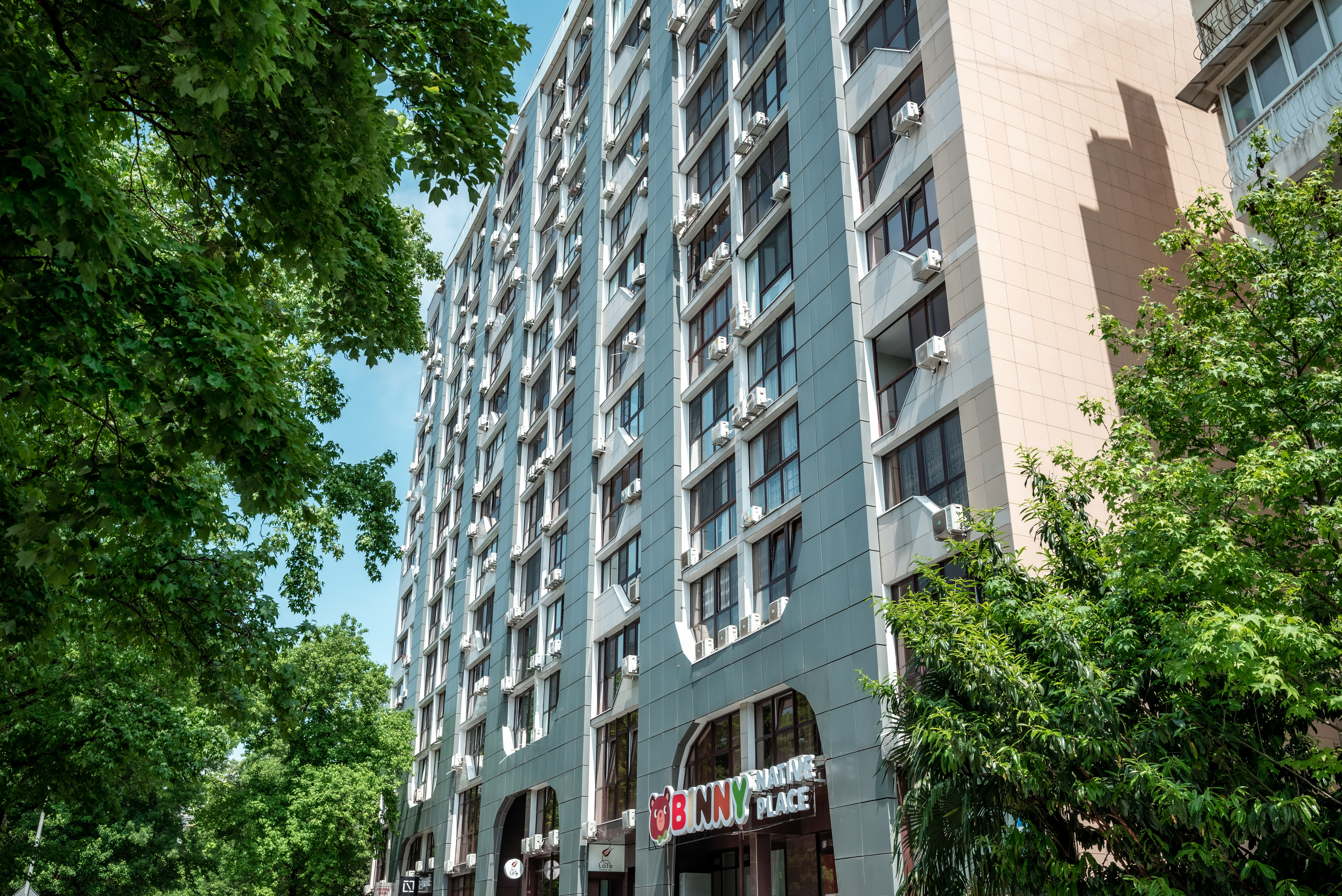 Фото Мангостин