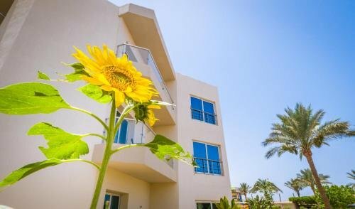 Гостиница Seagull Beach Resort в Хургаде