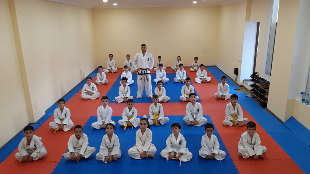 Sports base Taekwon-do Crystal club, Yerevan, photo