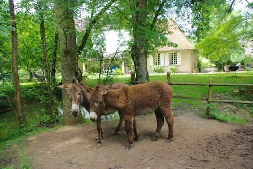 Hotel Le Moulin à eau du Bas-Pezé, Loir‑et‑Cher, photo