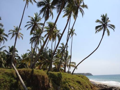 Фото 180334226669