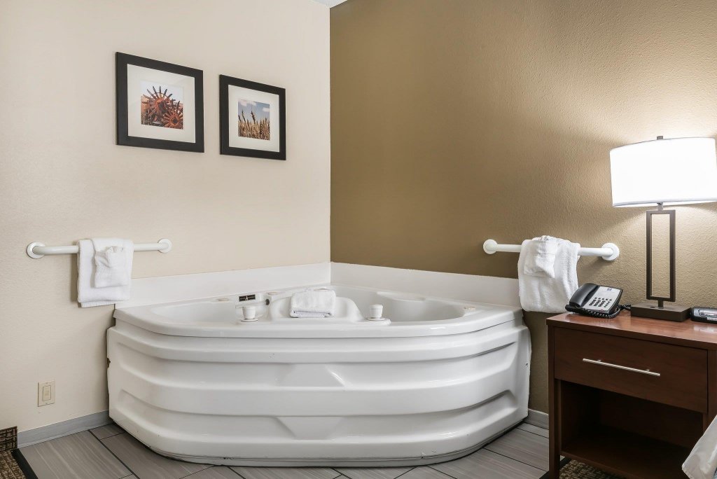 Фото Comfort Inn Indianapolis North - Carmel