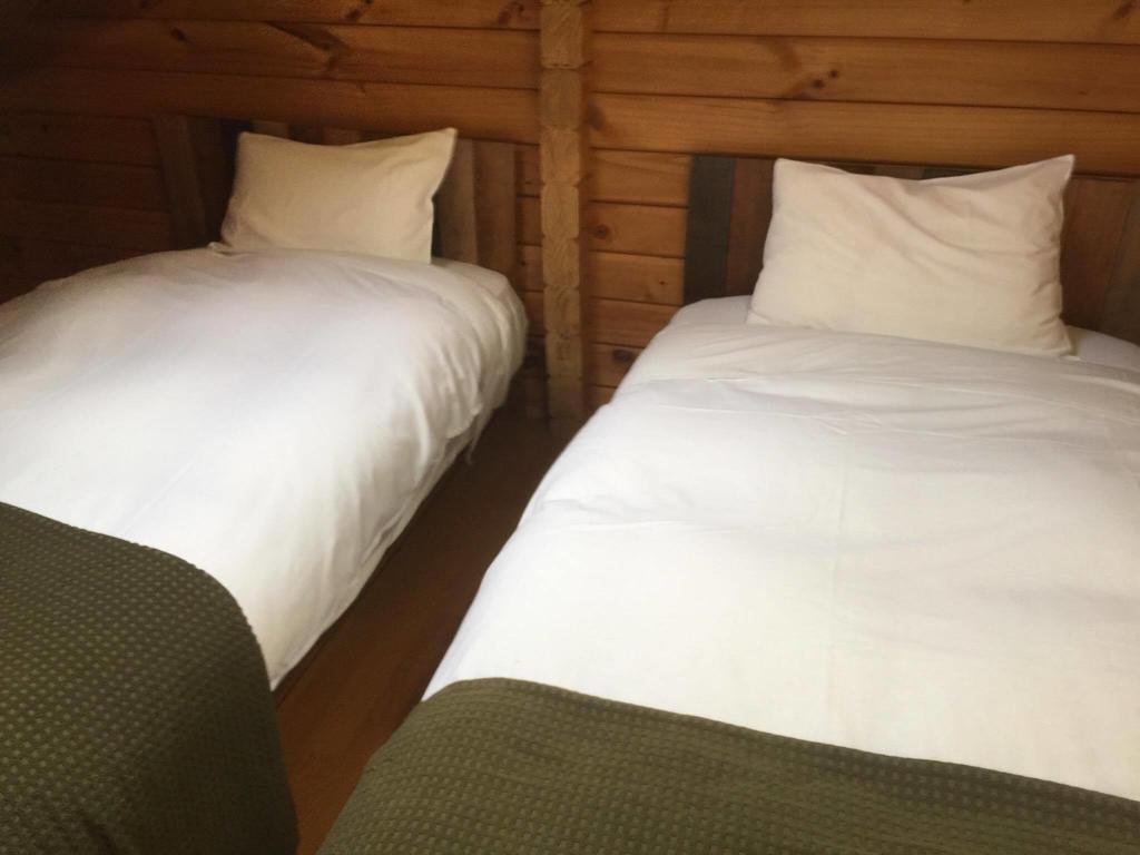 Фото Balls Deep Inn Hakuba