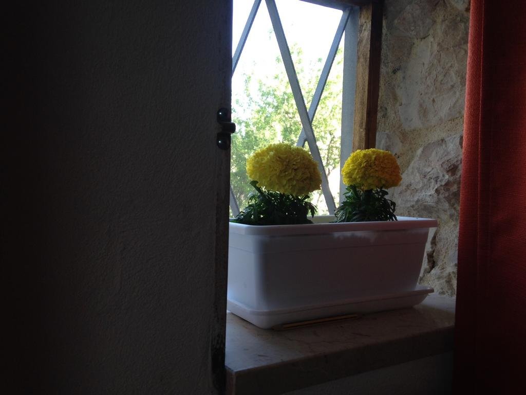 Фото Monolocale per Vacanze