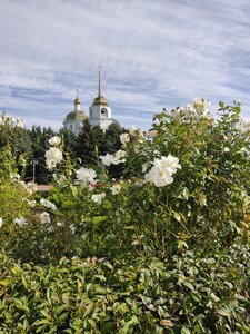 Храм Покрова Пресвятой Богородицы (ул. Чехова, 181А, село Покровское), православный храм в Ростовской области