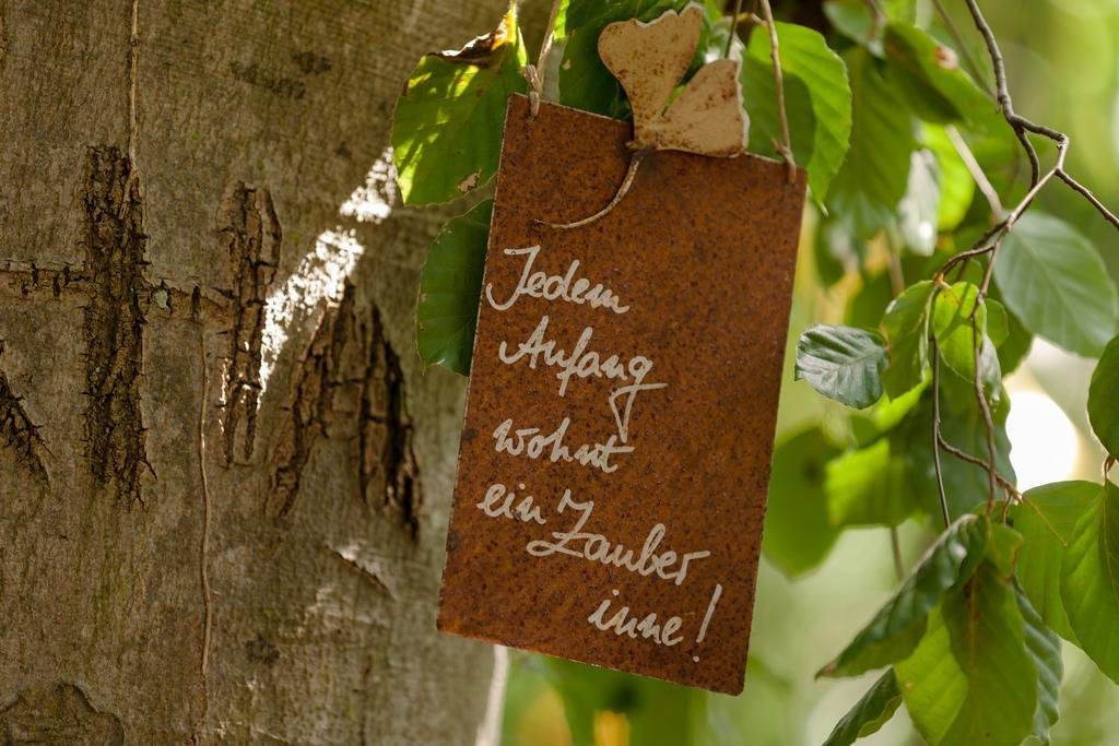 Фото Hotel Tannenhof