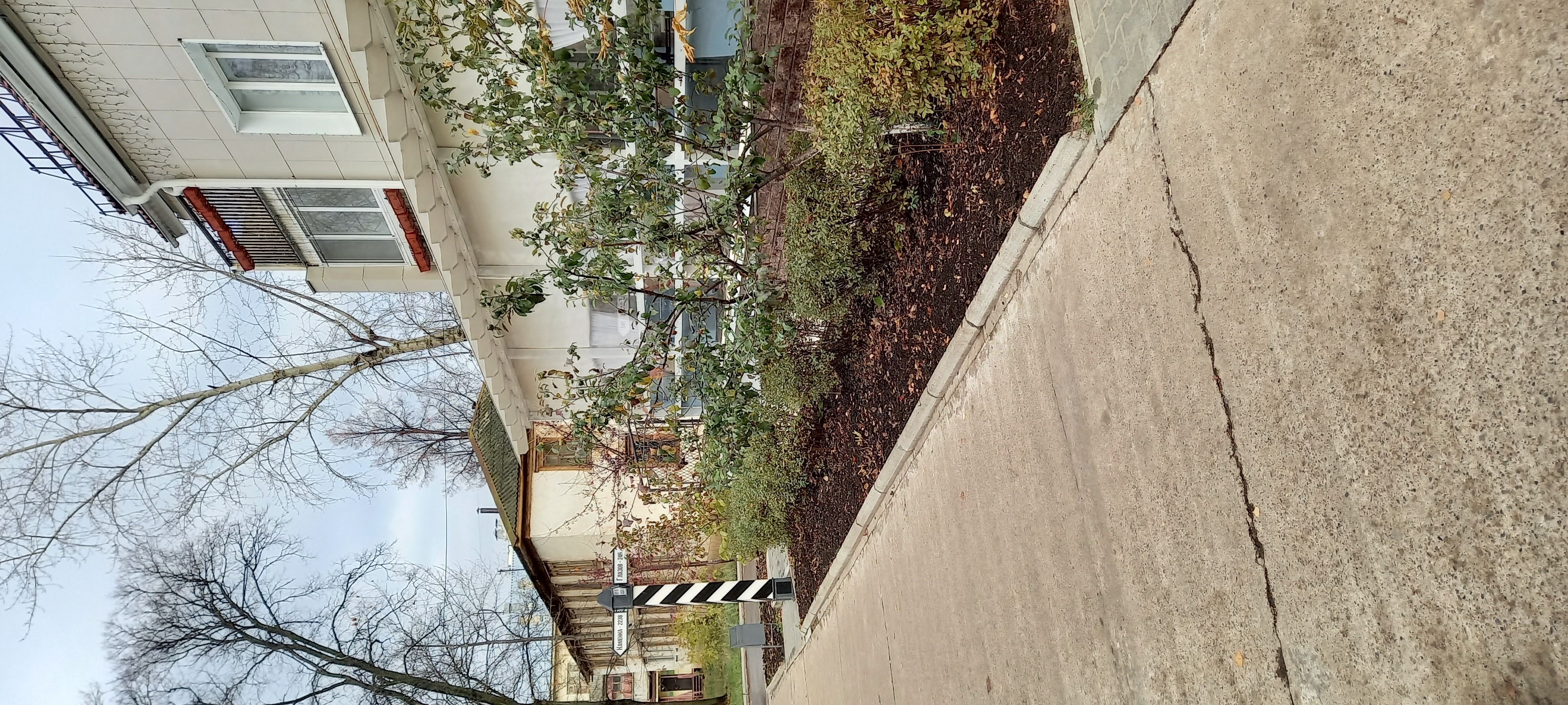 Фото Отель Чайковский