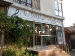 Muznovoross (Pionerskaya Street, 60), music store