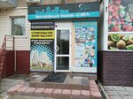 Mnogoprofilnaya kompaniya Stayyer (Kommunisticheskiy prospekt, 12), real estate agency
