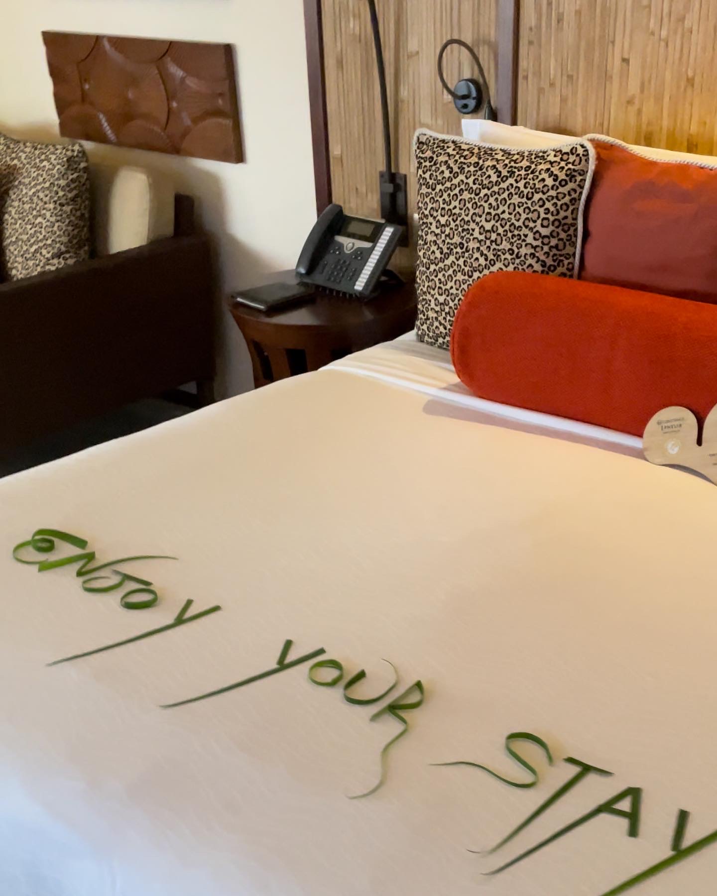 Фото Constance Ephélia