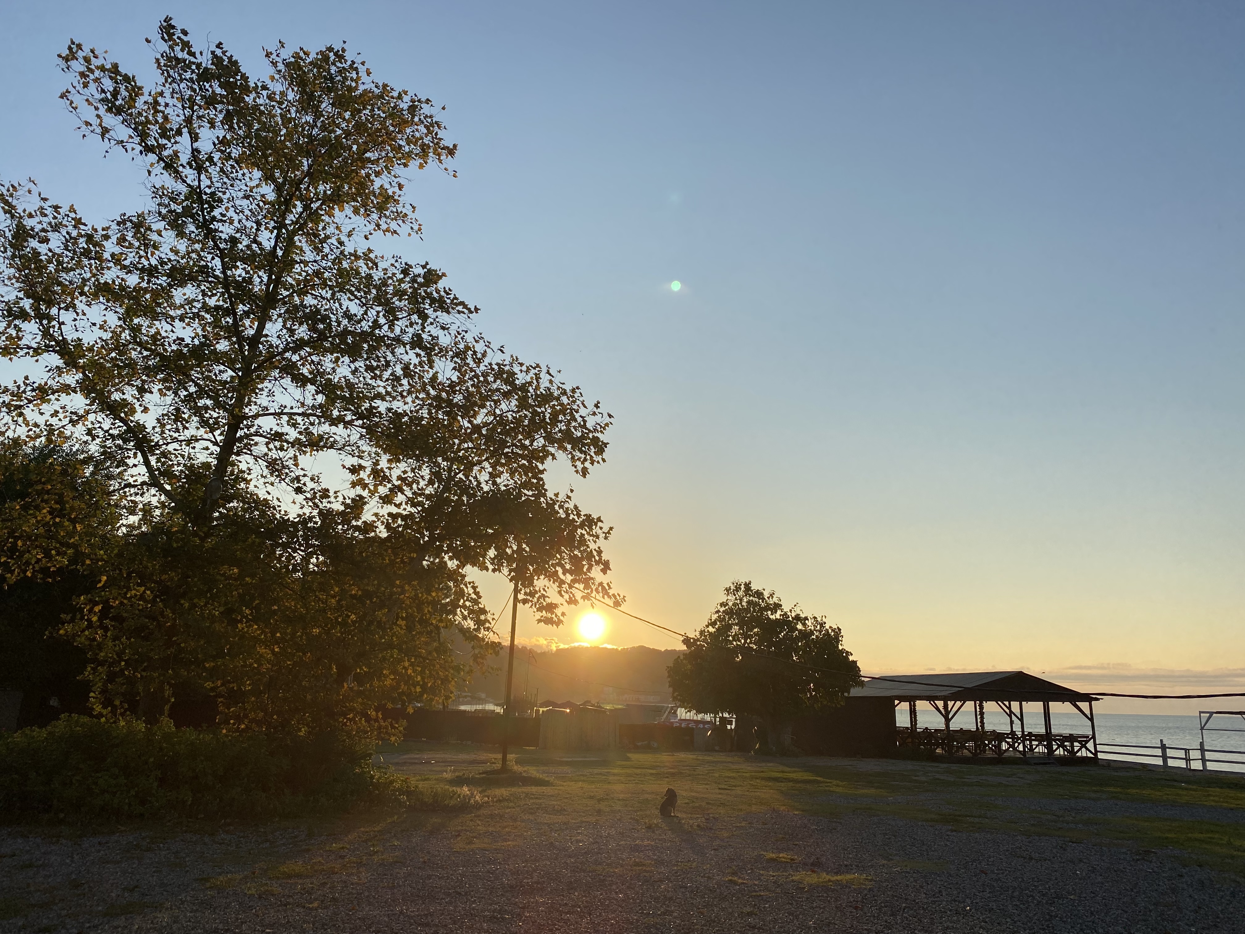 Фото Три Тополя