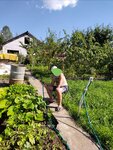 Садоводство № 3 Ломо (Krasnogvardeyskiy District, Andreevskaya Street, 12), gardeners' partnerships and societies