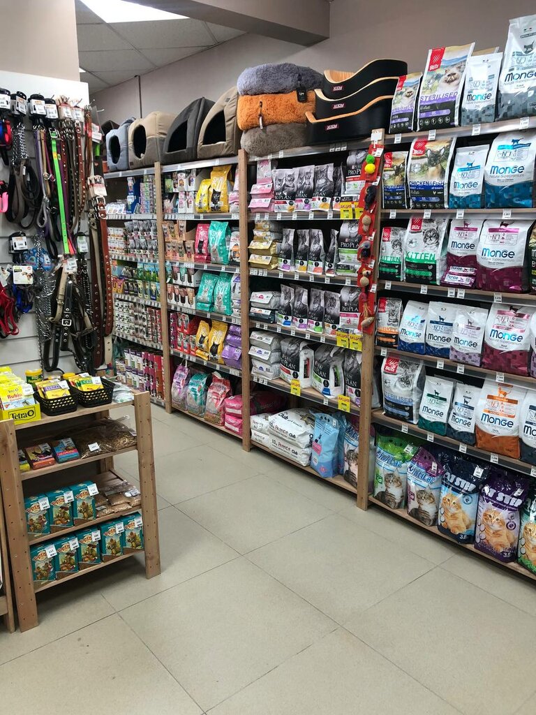 Pet shop Luna, Izhevsk, photo