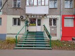 Салон цветов (Kalinina Street, 24) ، محل زهور