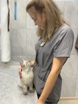 Alfa-vet (Симферополь, Севастопольская улица, 43Е), veterinary clinic