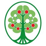 Evelium (Sirenevaya ulitsa, 32), children's developmental center