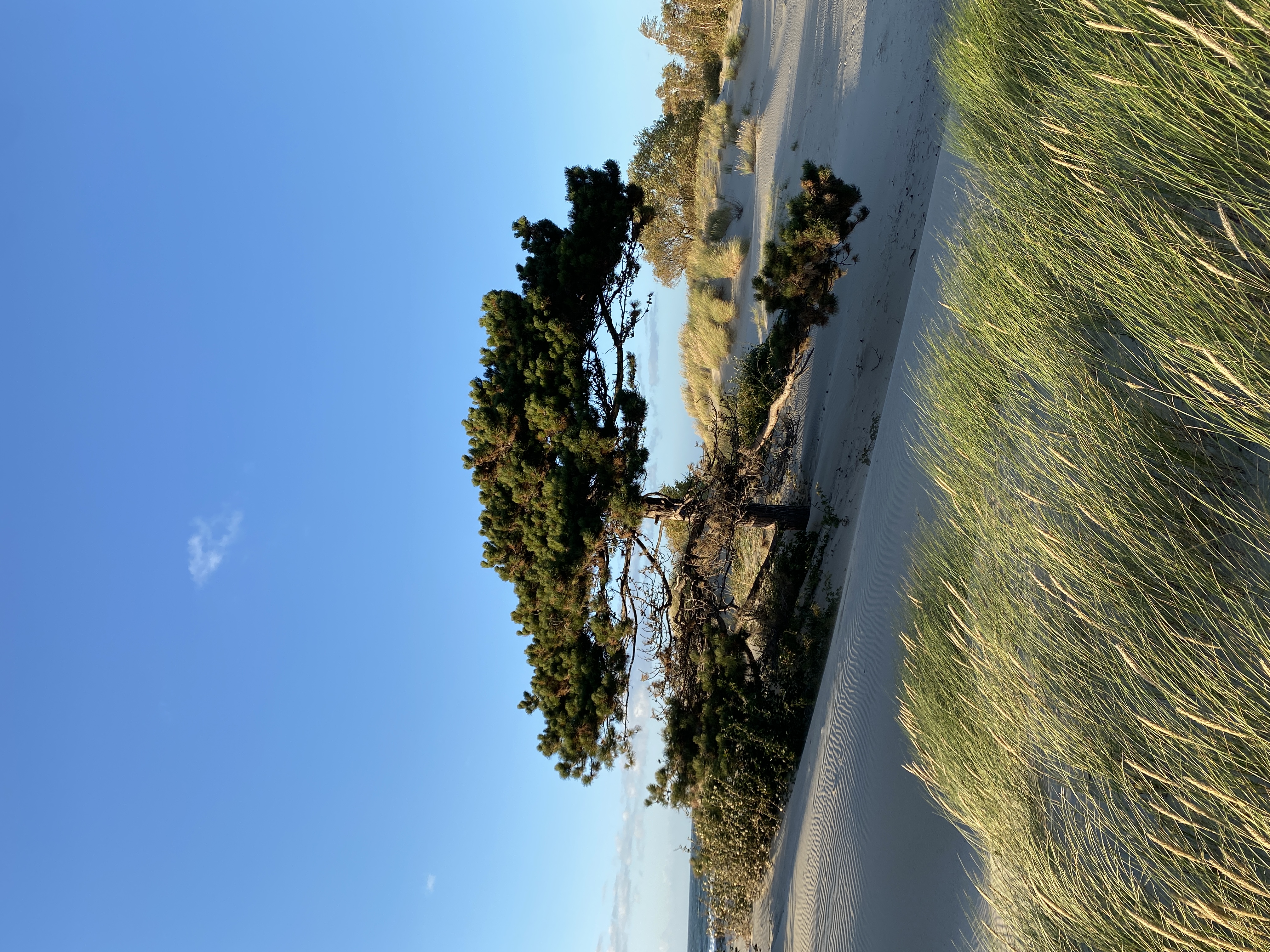 Фото Викингуд Глэмпинг