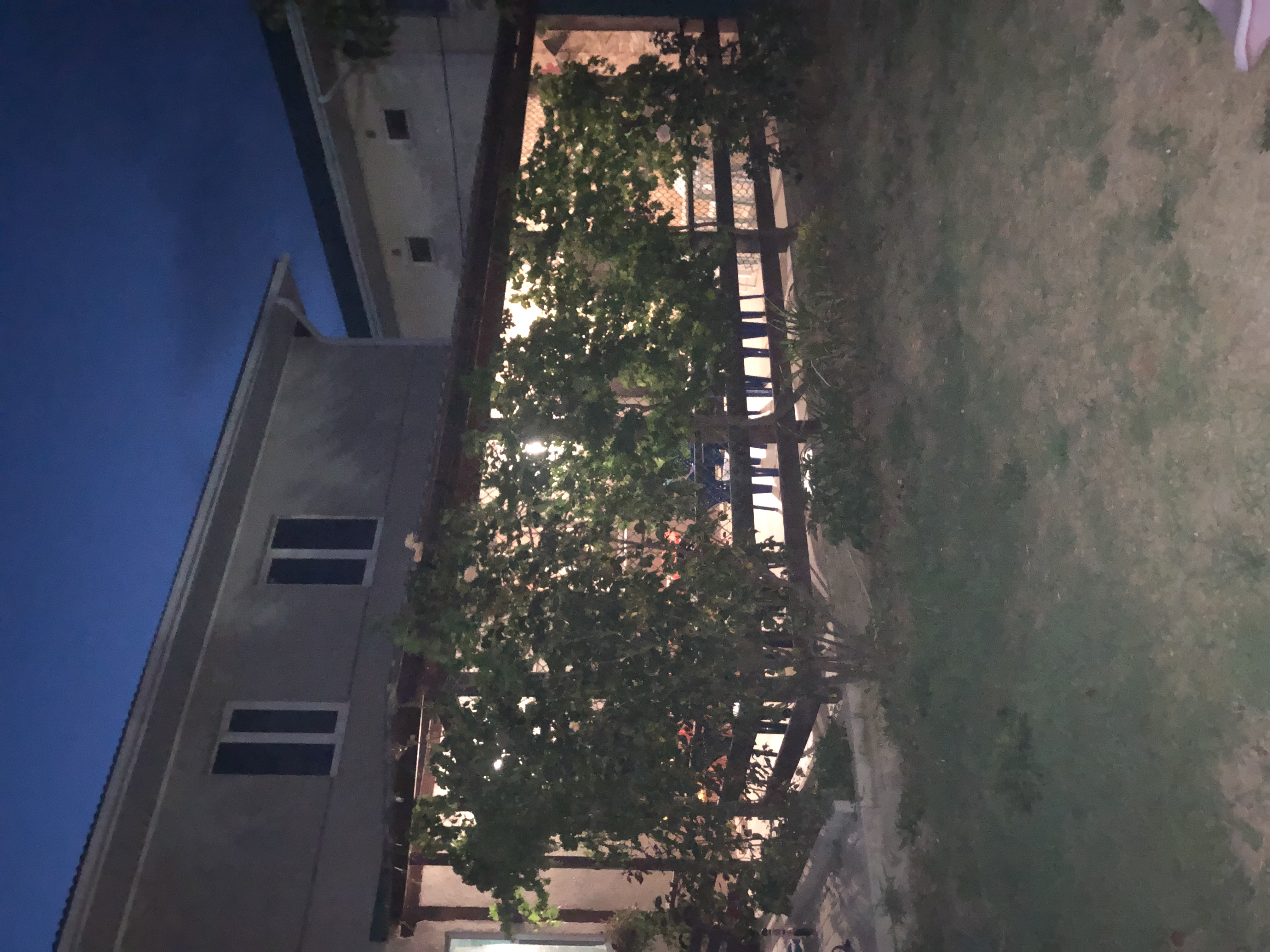 Фото Перовский Дворик