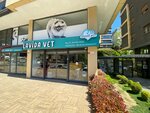 Lavida Vet (İstanbul, Kadikoy, Acıbadem Mah., Sarayardı Cad., 35), veterinary clinic