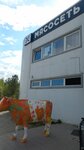 Myasorubka (Kapitana Ivanova Street, 5А) ، متجر جزارة، ديلي