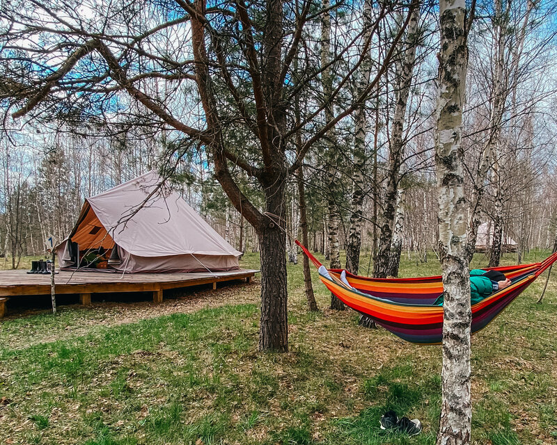 Глэмпинг Звездный лес