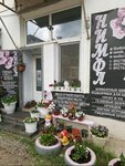 Nymfa (Krasnoarmeyskaya ulitsa, 45), flower shop