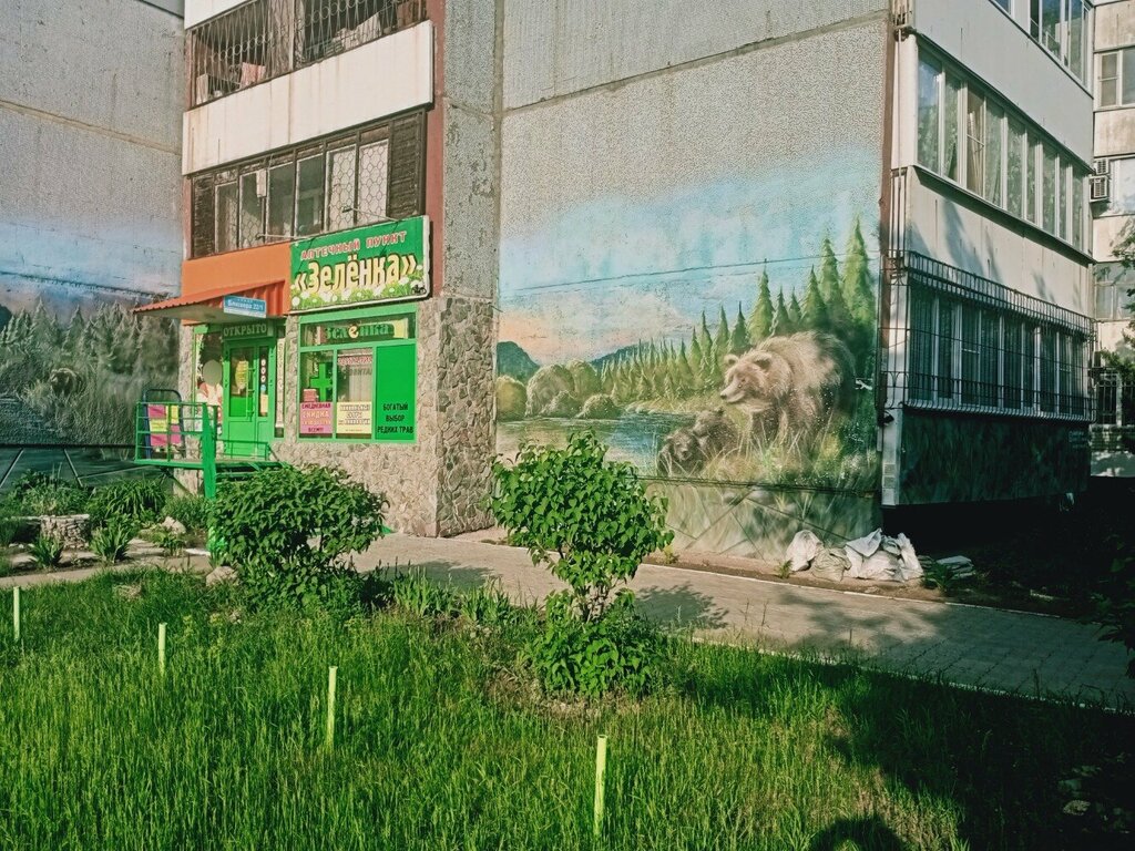 Аптека Зелёнка, Омск, фото