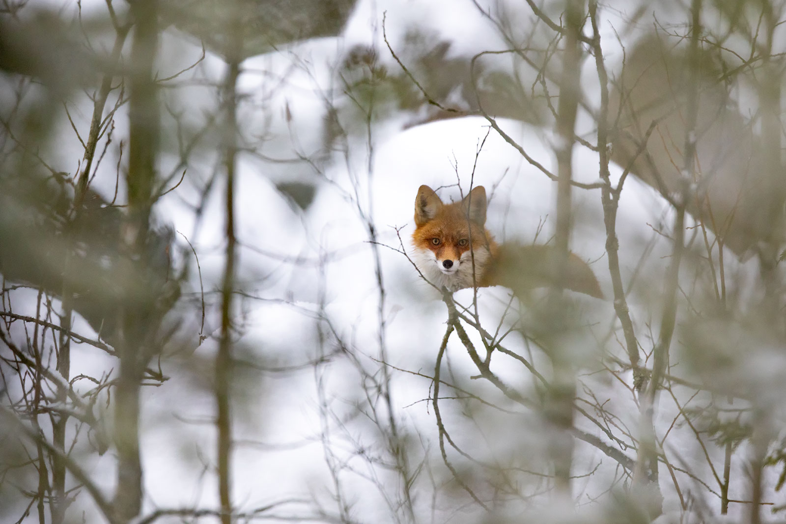 Фото Экотурсервис