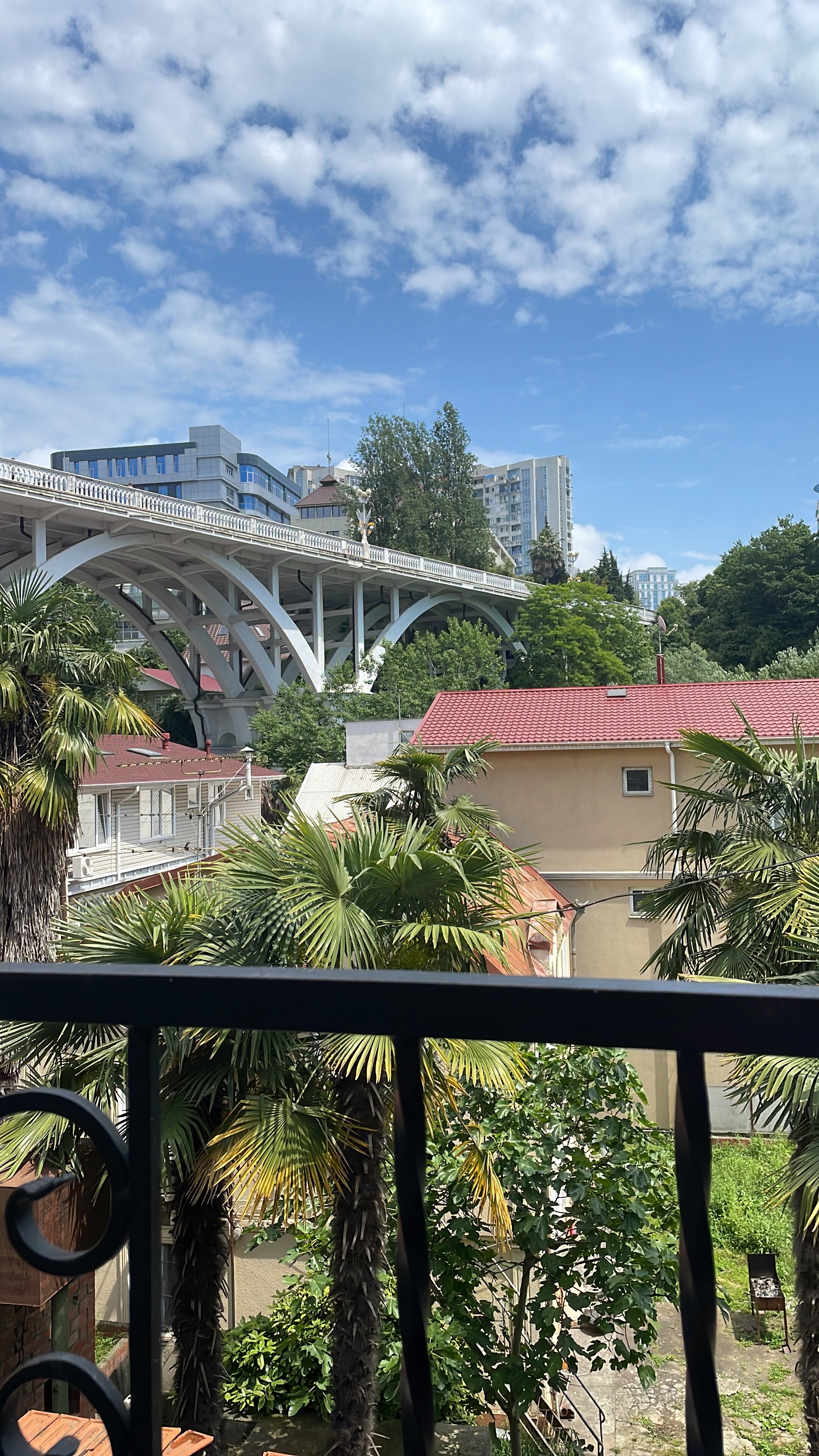 Фото Чайка Сочи