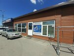 ТДС Дизель (Voronezhskaya Street, 66), car service, auto repair
