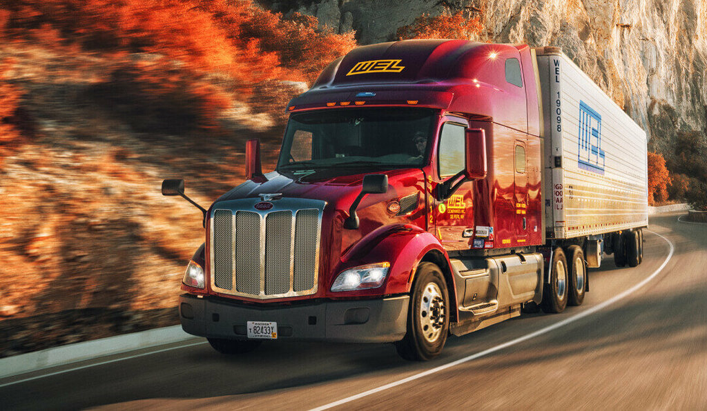 Logistics company Zoom Express Cargo, Dubai, photo