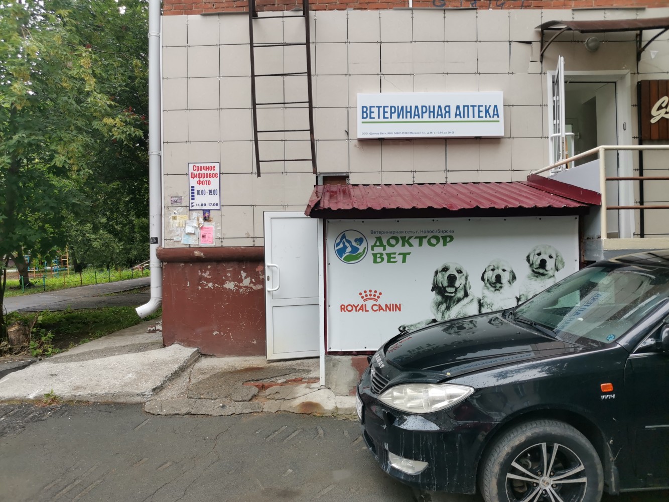 Доктор вет просп строителей 70б фото