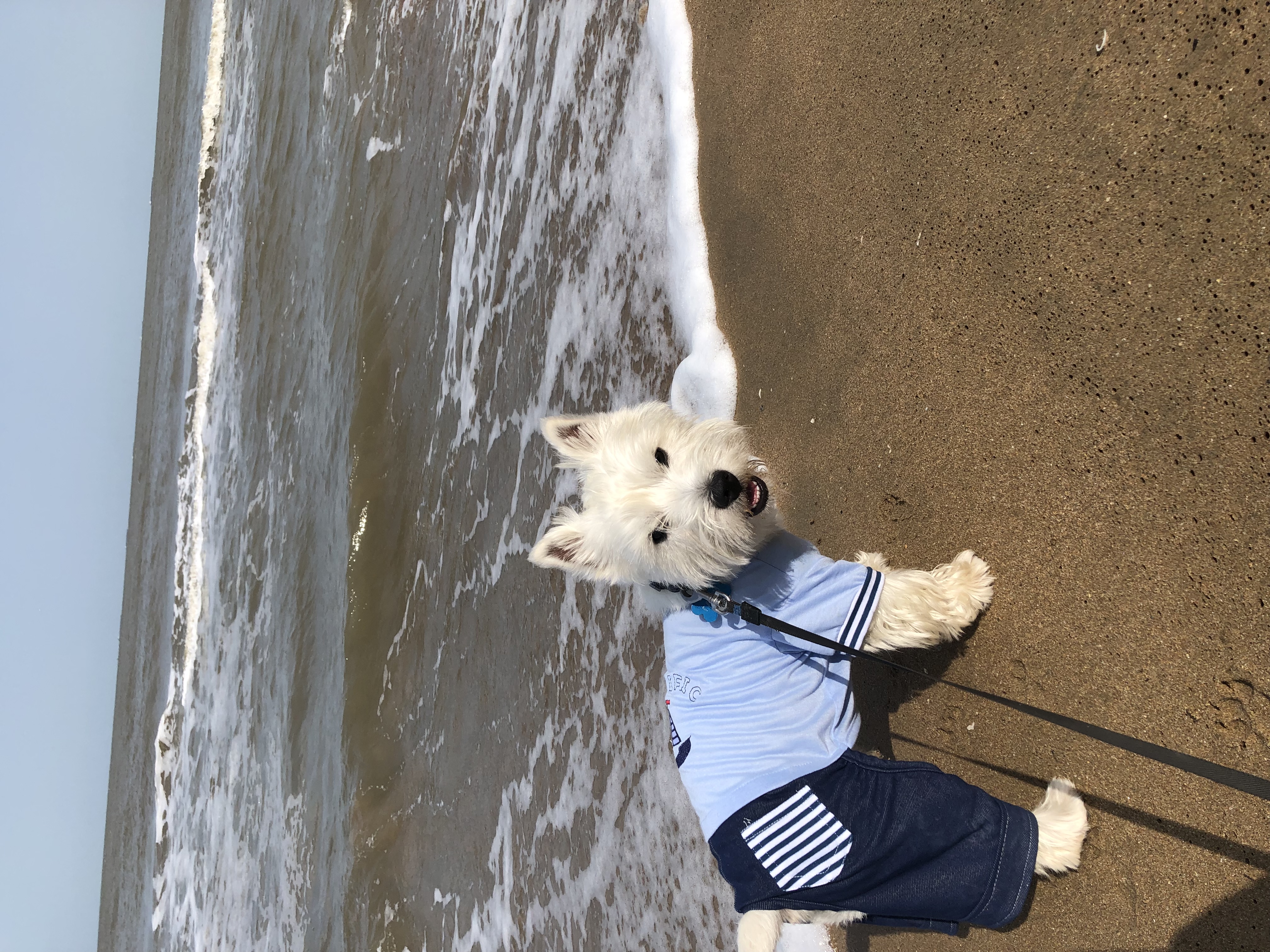 Фото Дом Моряка